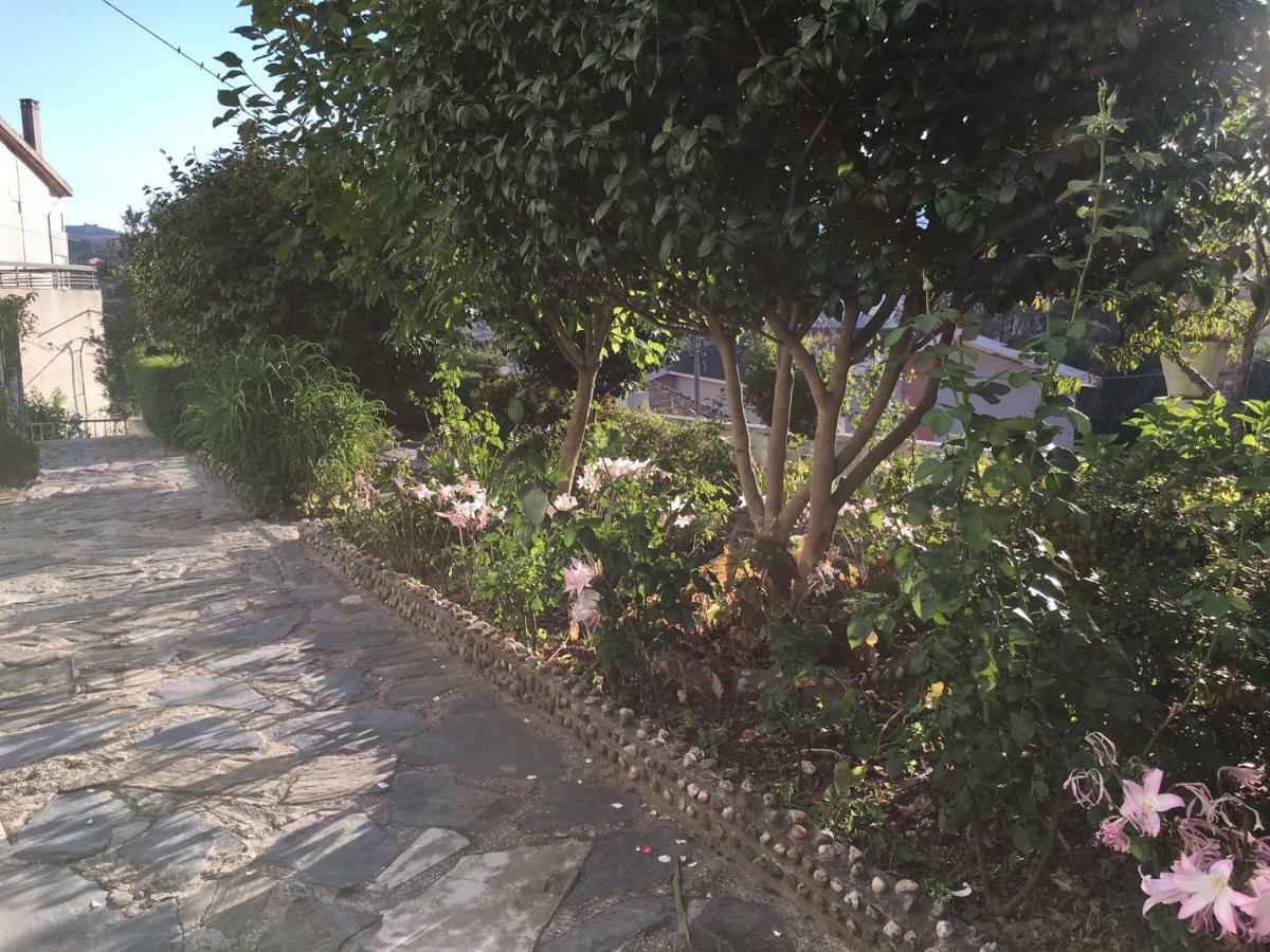 Dom Ruas Daire Peso da Régua Dış mekan fotoğraf